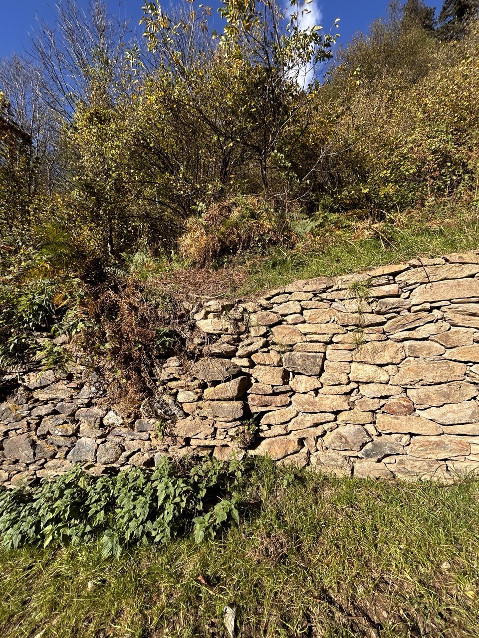 I muretti a secco, patrimonio Unesco I muretti a secco, patrimonio Unesco